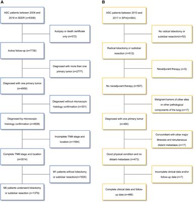 Surgical Options for Resectable Lung Adenosquamous Carcinoma: A Propensity Score-Matched Analysis